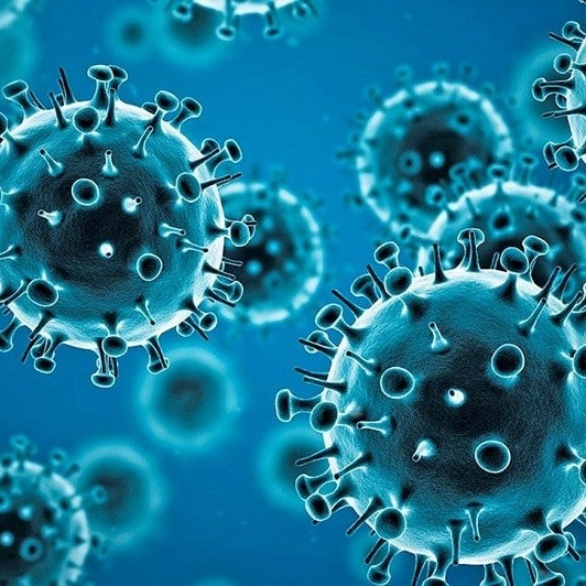 Corona virus